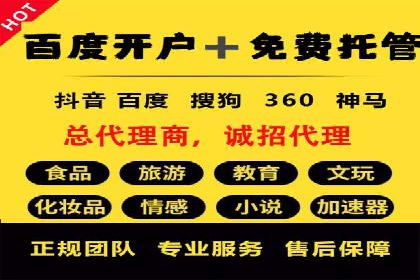 行业应用案例：SEM代运营公司的智慧与策略